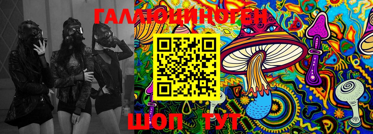 Галлюциногенные грибы Psilocybine cubensis  Вход с VPN  Валуйки 
