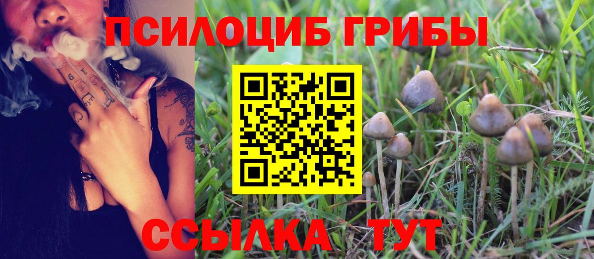 Псилоцибиновые грибы MAGIC MUSHROOMS Валуйки